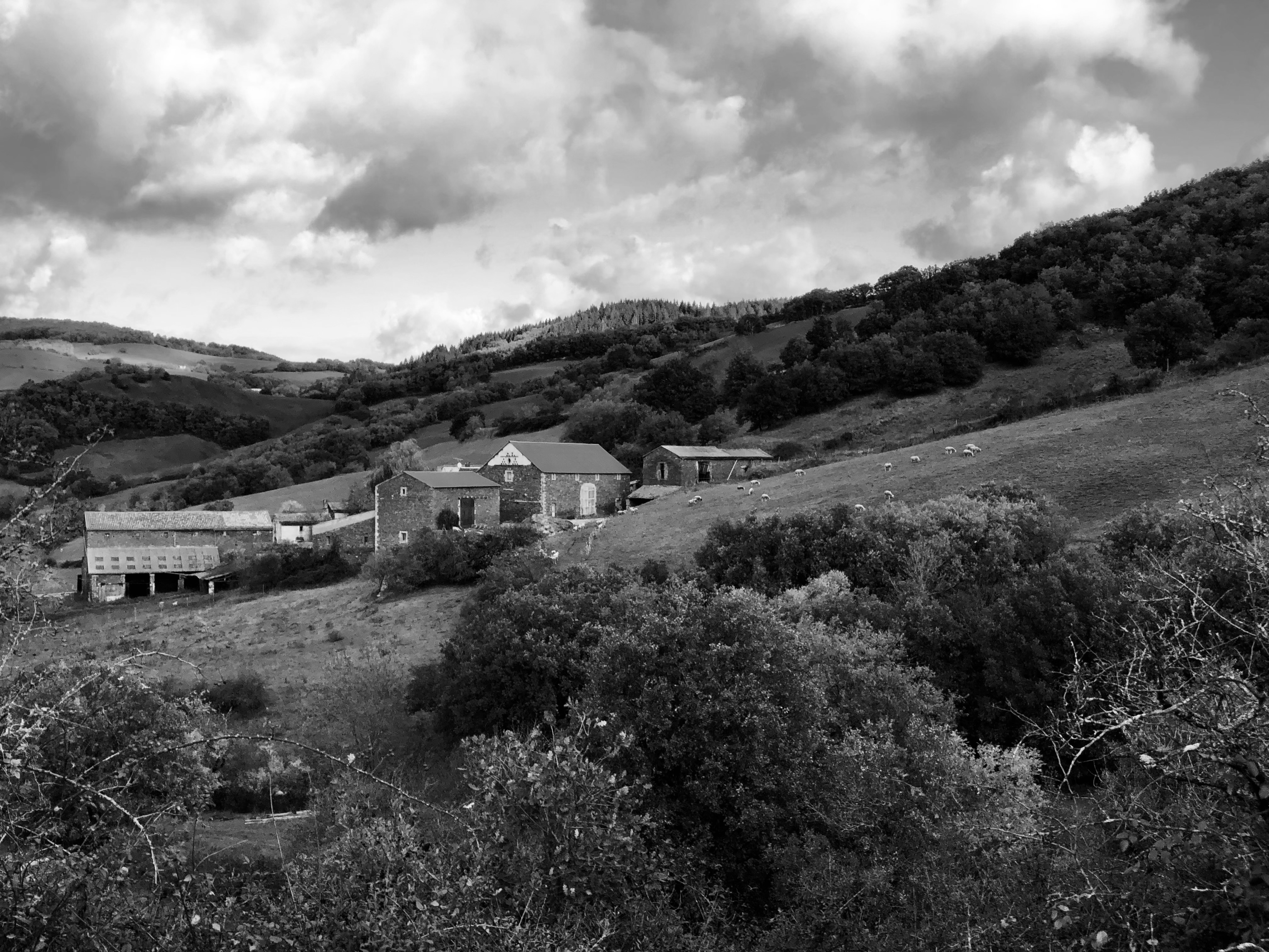 Vue panoramique en noir et blanc de l’ensemble rural des Roques dans le paysage vallonné de l’Aveyron